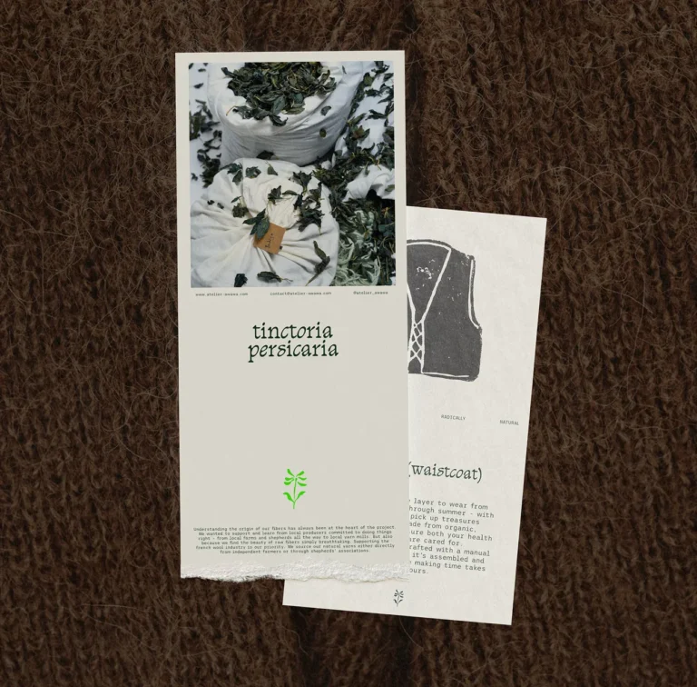 Cartes éditoriales imprimées illustrant l’identité visuelle et l’univers naturel de la marque Awawa
